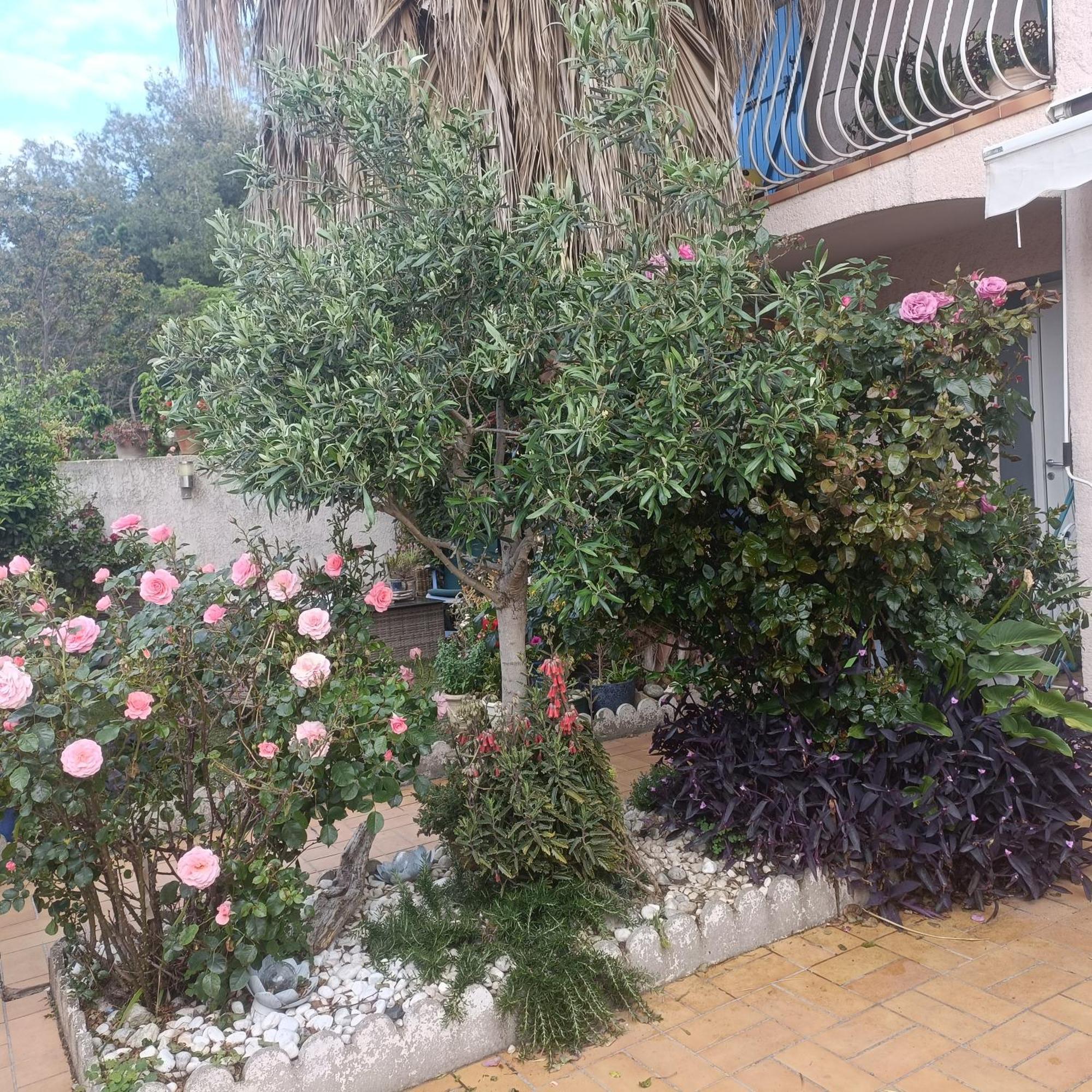 Studio Clair, Climatise Avec Jardin Et Parking Perpignan Chambre photo